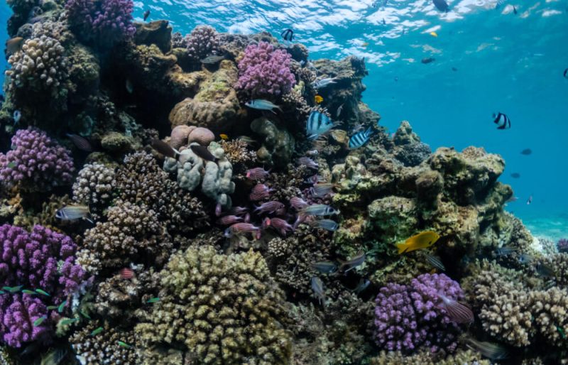 destinos turísticos que pueden desaparecer