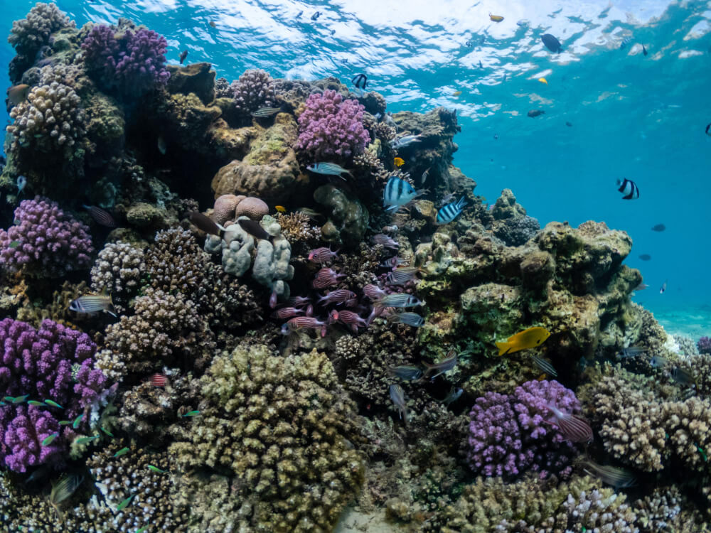 destinos turísticos que pueden desaparecer